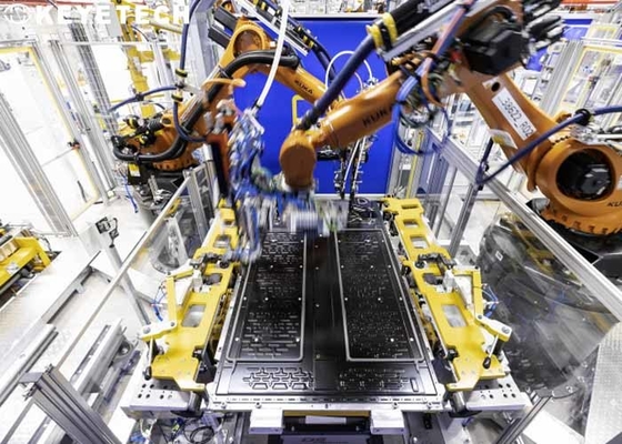 Streepjescode en datummateriaal van de codes het Visuele Inspectie met transportbandstructuur