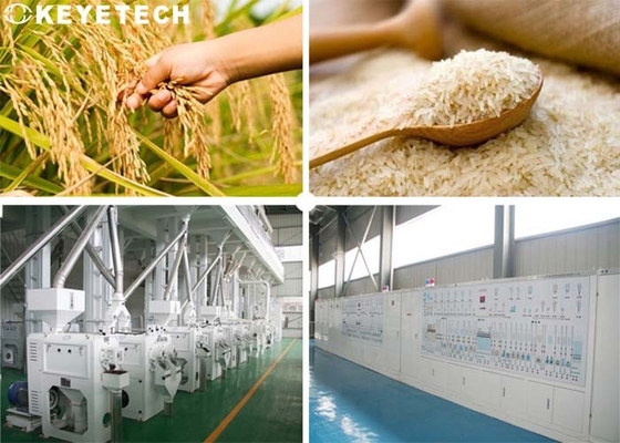 Jasmine Rice Quality Analyzer Food-Kwaliteit die Machine met GPU-Computer controleert