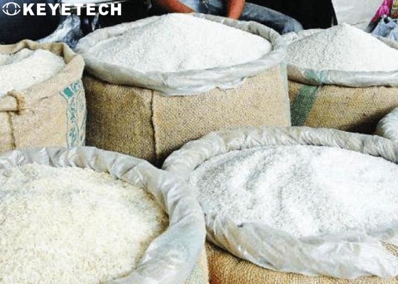 Jasmine Rice Quality Analyzer Food-Kwaliteit die Machine met GPU-Computer controleert