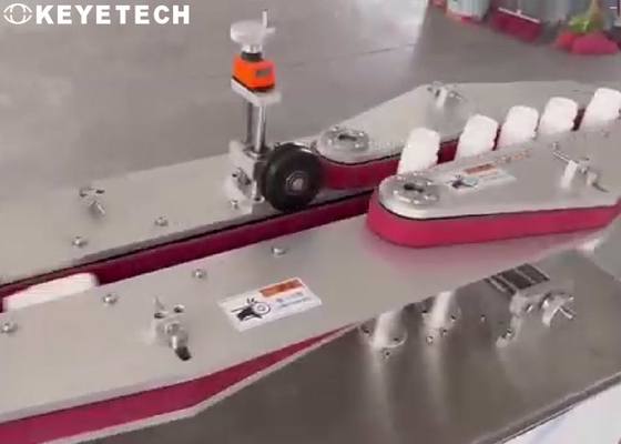 De off-line Machine van de Flessen Visuele Inspectie met Autoverwerping & Tellend Systeem