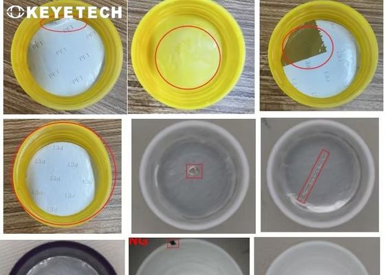 SS 304 Visie-inspectie-machine Toepassingen Oppervlakteflits, korte schimmel en zwarte vlekken