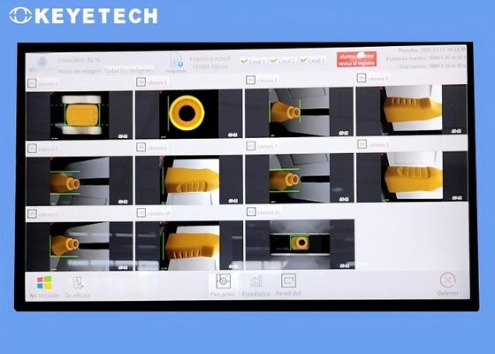 Verpakkend Inspectiemateriaal voor Plastic Beschikbare het Voedselcontainers van pp