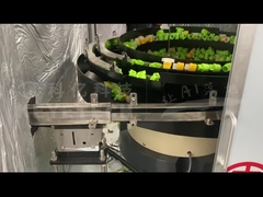 Spout Cap Sorting Machine Korte nek